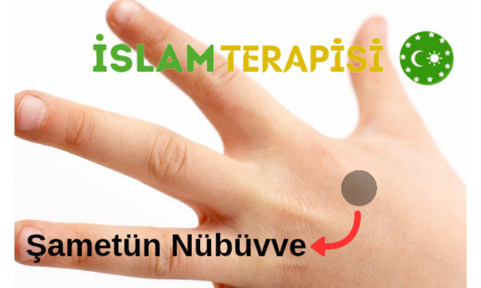 Şametün Nübüvve: Peygamberlik Alametinin Sol Eldeki İzleri