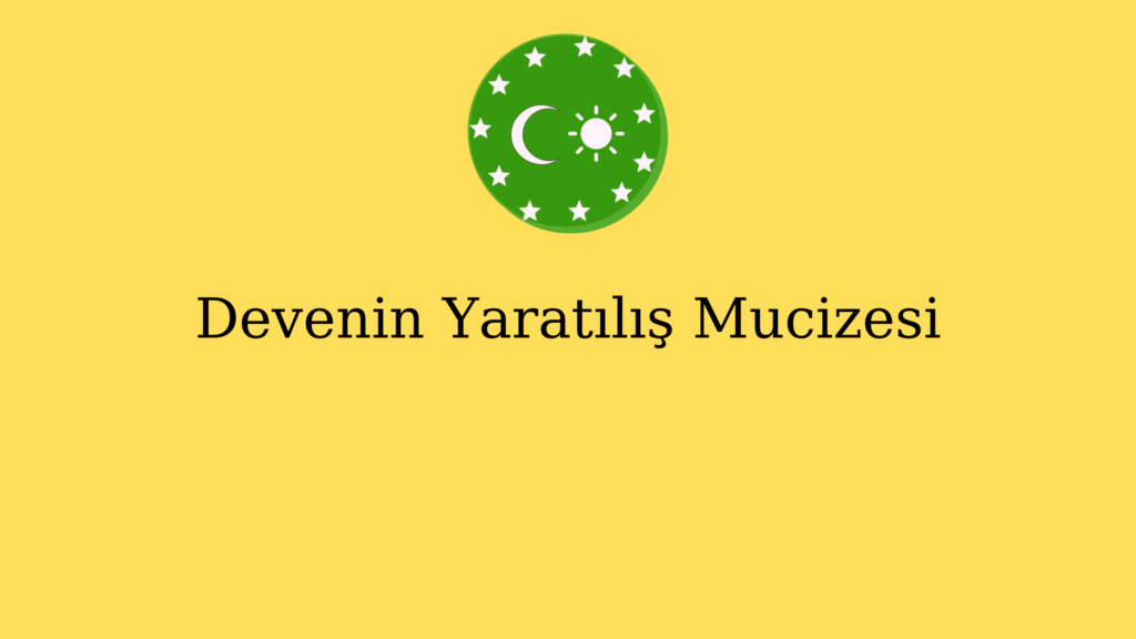 Devenin Yaratılış Mucizesi