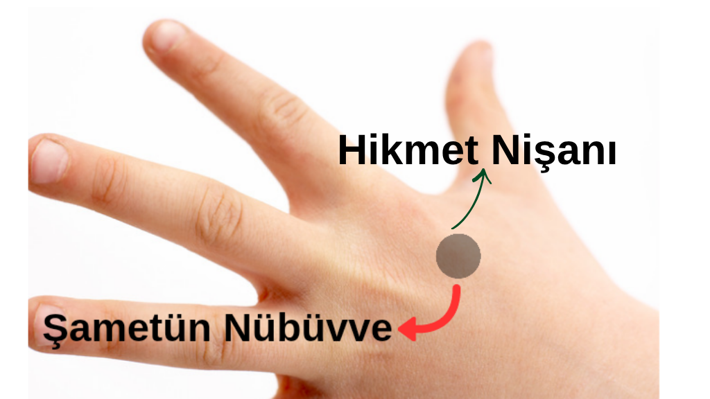 Peygamberlik Nişanı: Sağ ve Sol Eldeki Mühürlerin Sırrı