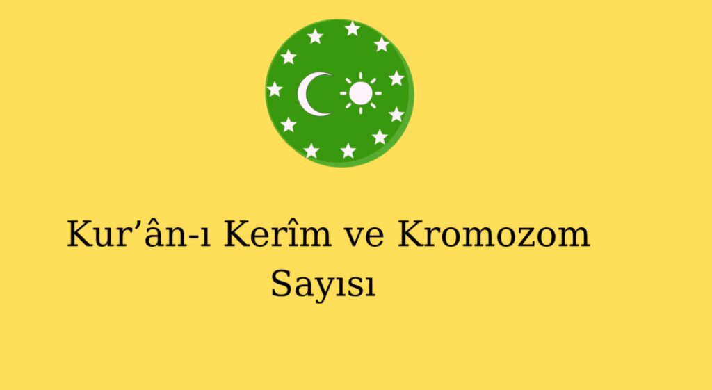Kur’ân-ı Kerîm ve Kromozom Sayısı